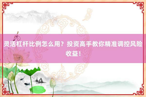 灵活杠杆比例怎么用？投资高手教你精准调控风险收益！