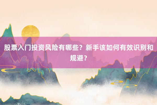 股票入门投资风险有哪些？新手该如何有效识别和规避？