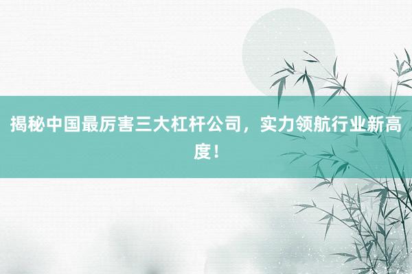 揭秘中国最厉害三大杠杆公司，实力领航行业新高度！