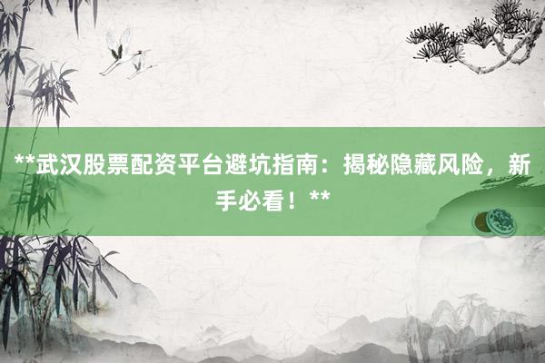 **武汉股票配资平台避坑指南：揭秘隐藏风险，新手必看！**