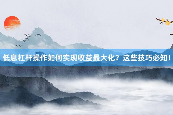 低息杠杆操作如何实现收益最大化？这些技巧必知！