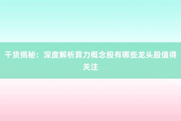 干货揭秘：深度解析算力概念股有哪些龙头股值得关注