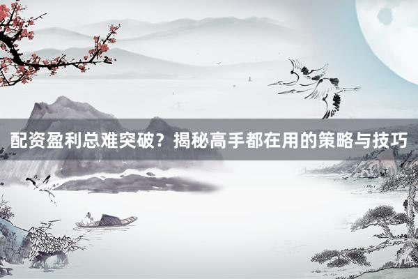 配资盈利总难突破？揭秘高手都在用的策略与技巧