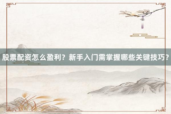 股票配资怎么盈利？新手入门需掌握哪些关键技巧？