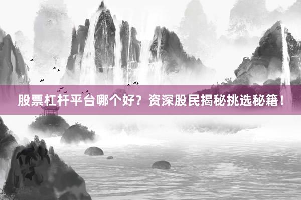 股票杠杆平台哪个好?资深股民揭秘挑选秘籍!
