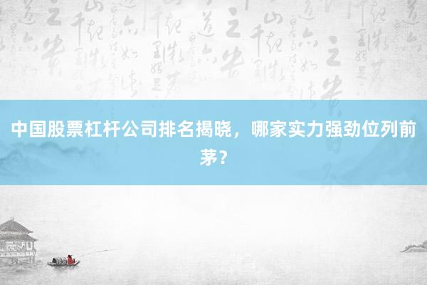 中国股票杠杆公司排名揭晓，哪家实力强劲位列前茅？