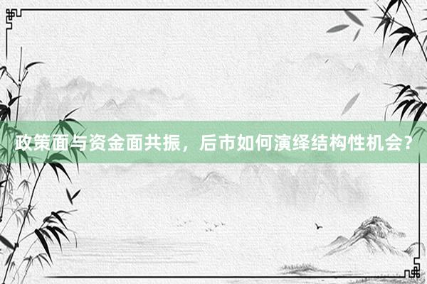 政策面与资金面共振，后市如何演绎结构性机会？