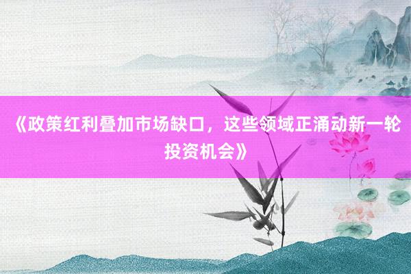 《政策红利叠加市场缺口，这些领域正涌动新一轮投资机会》