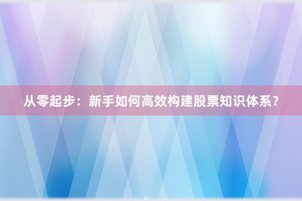 从零起步：新手如何高效构建股票知识体系？