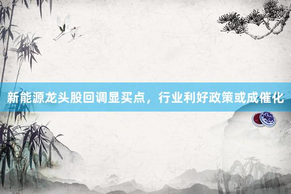 新能源龙头股回调显买点，行业利好政策或成催化