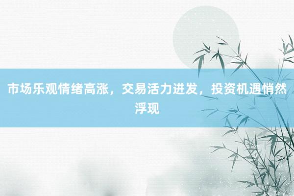 市场乐观情绪高涨，交易活力迸发，投资机遇悄然浮现