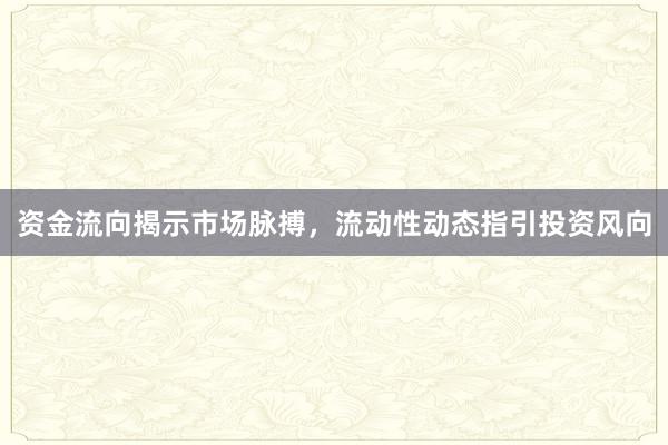 资金流向揭示市场脉搏，流动性动态指引投资风向